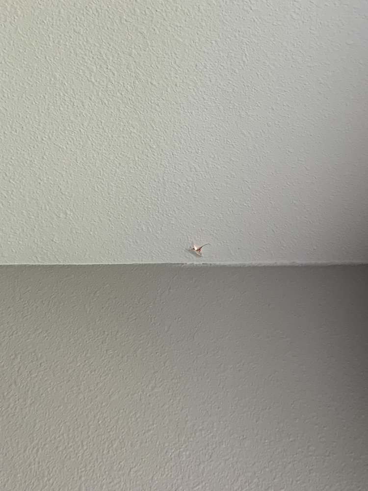 Slide of Sylvester Roofing Co Inc