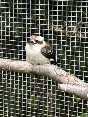 Alabama Gulf Coast Zoo by null