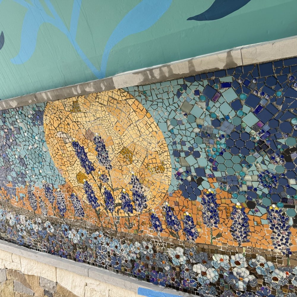 Wishbone Bridge And Unity Underpass - Bluebonnets! One of the many mosaic scenes by Reginald C. Adams in the Unity Tunnel - Parks Near Me - Austin, Texas Wishbone Bridge And Unity Underpass - Bluebonnets! One of the many mosaic scenes by Reginald C. Adams in the Unity Tunnel - Parks Near Me - Austin, Texas