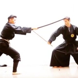 Bujinkan Maten Ninjutsu Dojo NYC - Hanbojutsu - stick fighting