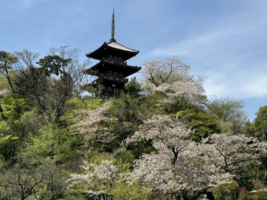 Sankeien Garden by null