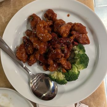 DD Soup Dumpling & Hibachi - General Tso Chicken - Japanese Near Me - Jericho, New York