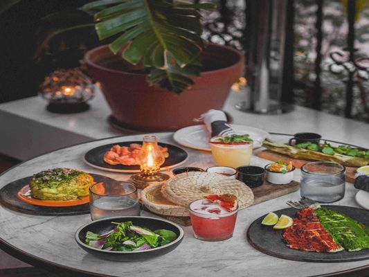 Gitano Miami by null