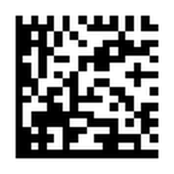 Fleet Courier - Check in to Fleet Courier from your mobile app
