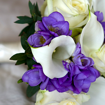 Purple Rose Florist - Florists Near Me - Mount Prospect, Illinois