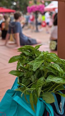 Old Town Farmers' Market by null