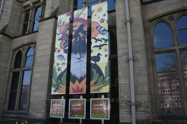 Manchester Museum by null
