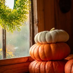 Hunter Farm - The Hunter farm has many heirloom pumpkins, perfect for the fall season.