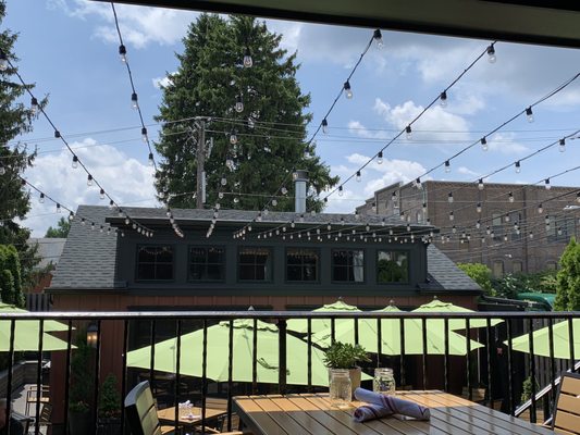 Jasper's Backyard by null