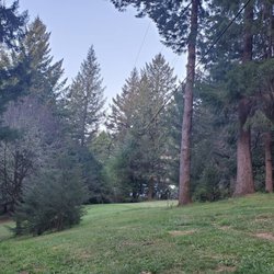 Western Pacific Tree Service - My little paradise before these ___hats showed up..