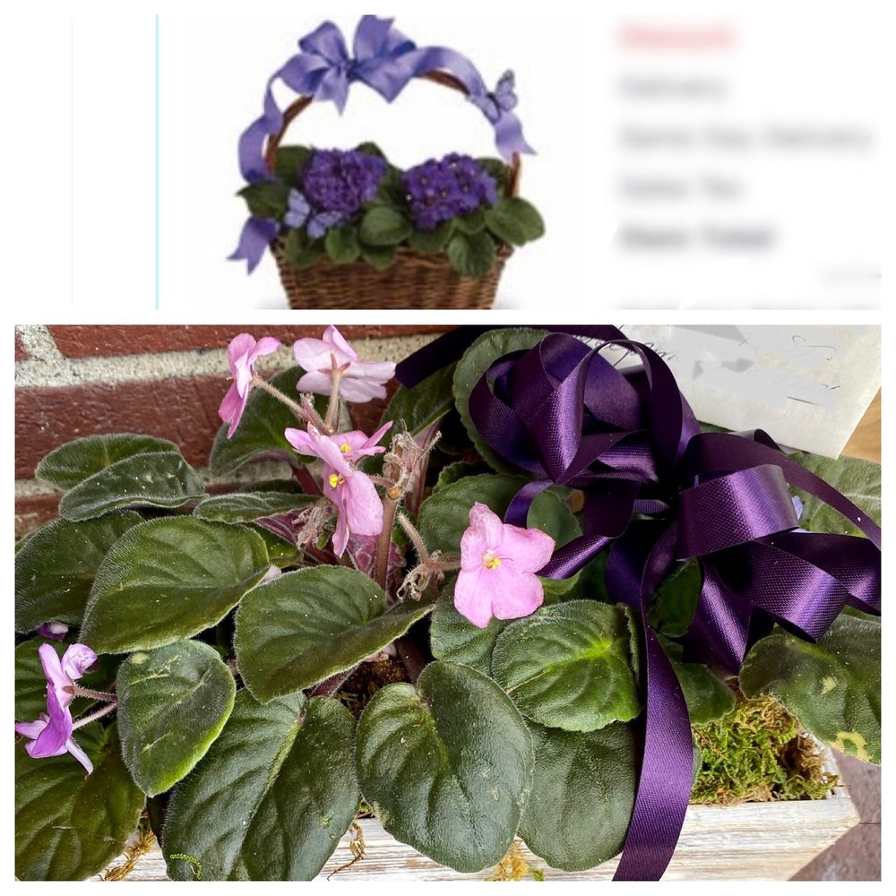 SEND FLOWERS ONLINE FLORIST STORE DELIVERY 131 Photos & 264 Reviews