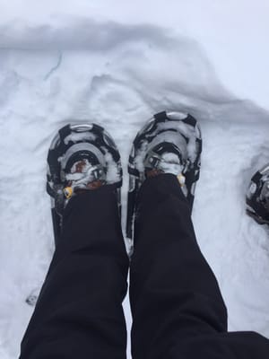 Aspen Center for Environmental Studies by null