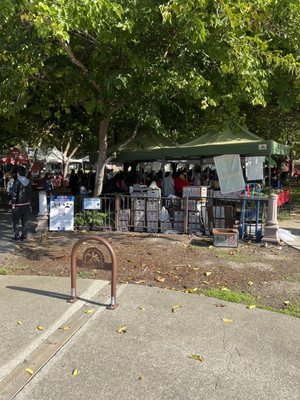 Union City Farmers' Market by null