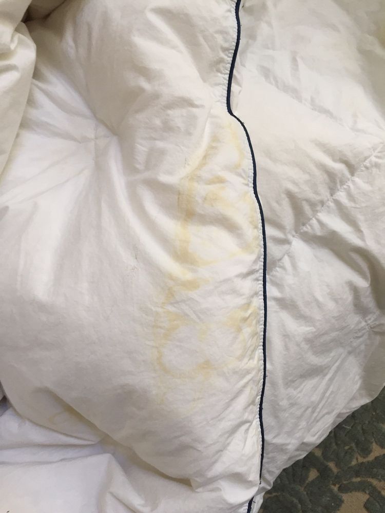 Reviews of STARBRITE CLEANERS Updated September 2024 26 Reviews