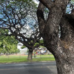 Paki Community Park