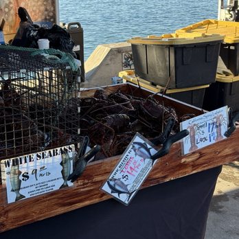 Tuna Harbor Dockside Market - More lobsters - Seafood Markets Near Me - San Diego, California