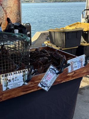 Tuna Harbor Dockside Market by null