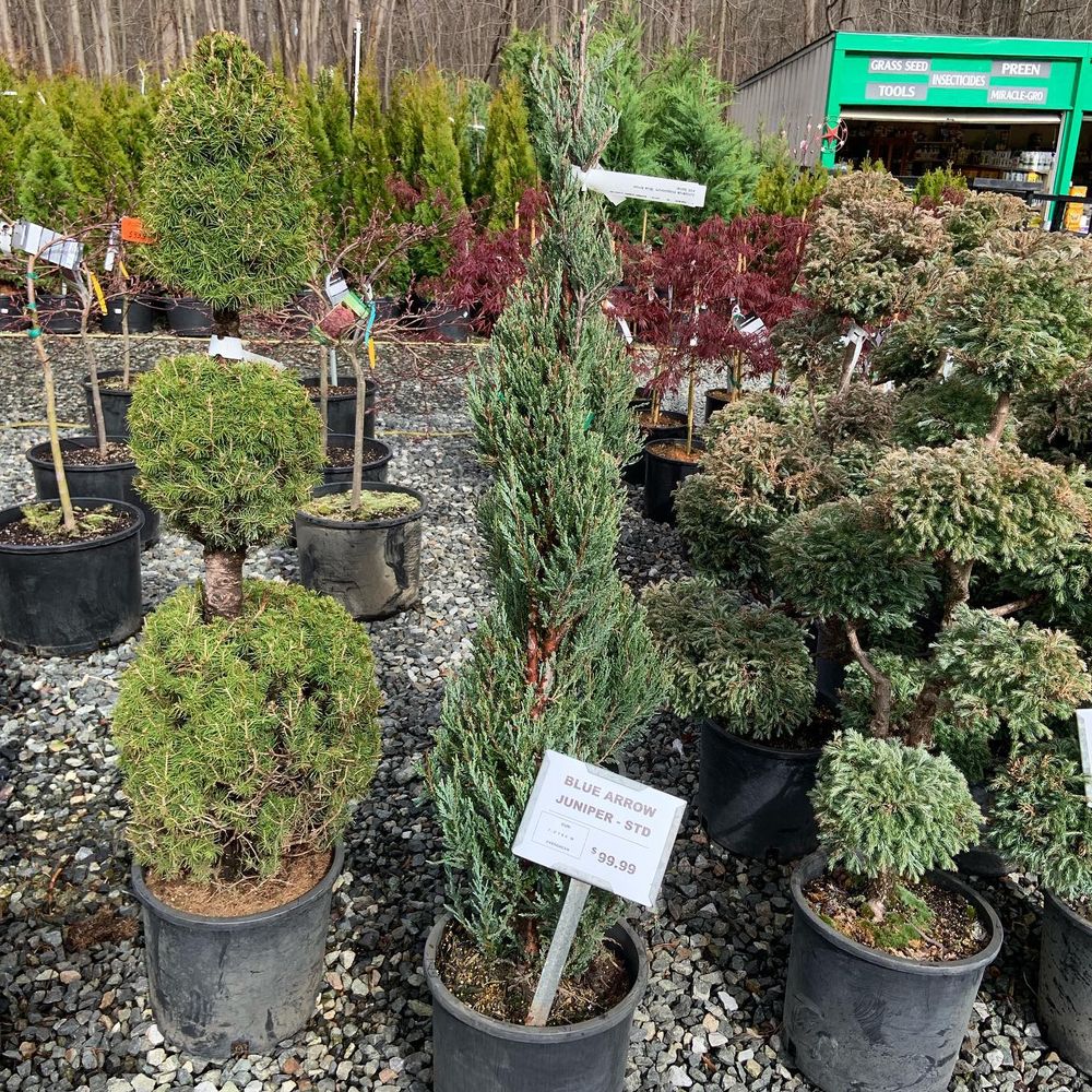 SOMERSET NURSERY 35 Photos Nurseries & Gardening 1697 Pottstown