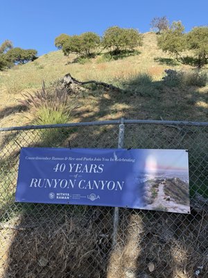 Runyon Canyon Park by null