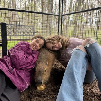 The Dunham Farm - The girls with their favorite - the Capy!!! - Petting Zoos Near Me - Burleson, Texas The Dunham Farm - The girls with their favorite - the Capy!!! - Petting Zoos Near Me - Burleson, Texas