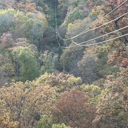 Grafton Zipline