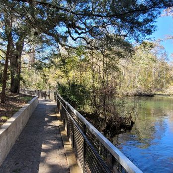 Manatee Springs State Park - Parks Near Me - Chiefland, Florida Manatee Springs State Park - Parks Near Me - Chiefland, Florida