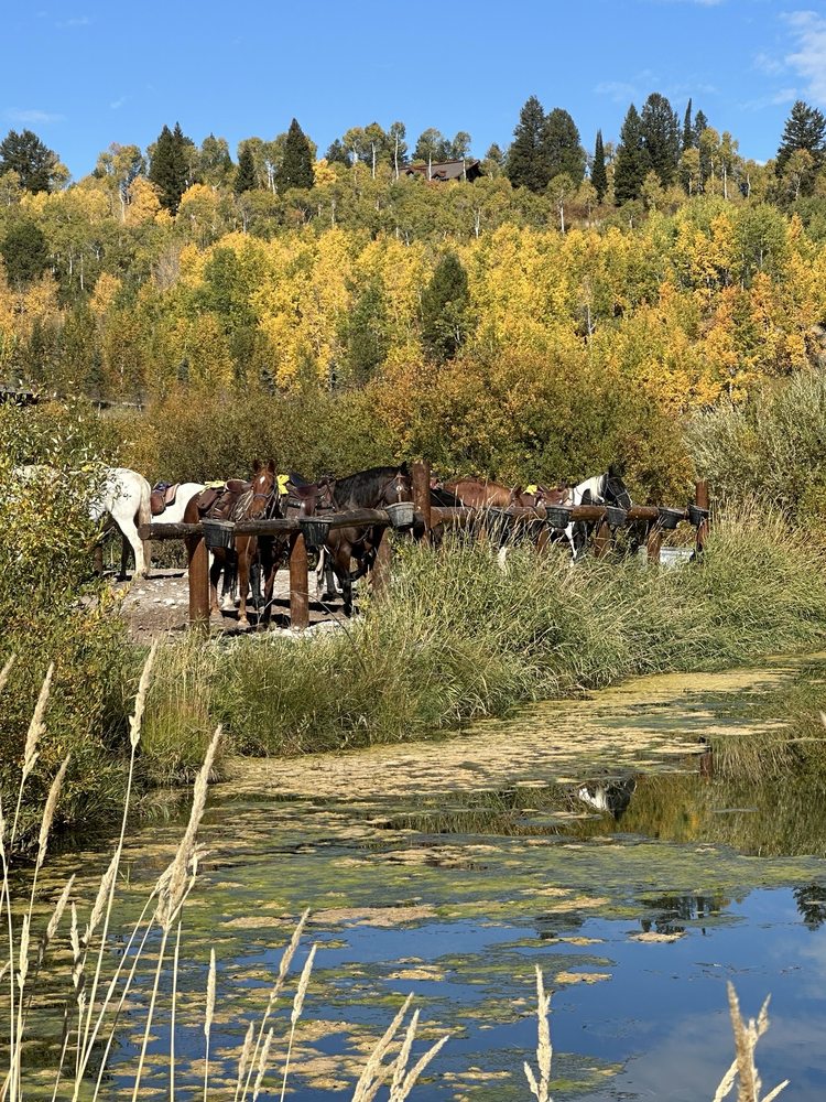 Rockin' M Ranch County Rd 104 Logo