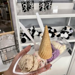 Davis Creamery - Ice cream flight - 4 mini scoops!
