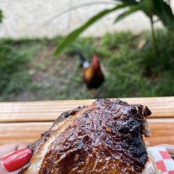 Chicken In A Barrel BBQ - Coconut Marketplace - Eat the chicken. Don't feed the chicken... chicken.