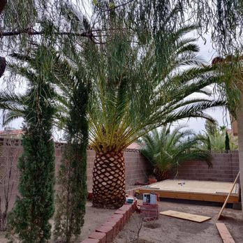 Aron's Tree Service - Tree Services Near Me