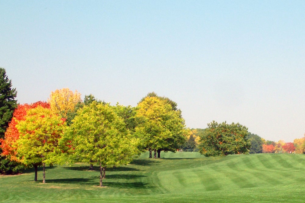 GROESBECK GOLF COURSE Updated September 2024 20 Photos & 12 Reviews