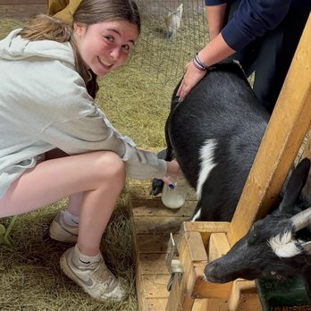Roscoe Campsite Park - Got to milk a goat. - Rafting/Kayaking Near Me - Roscoe, New York