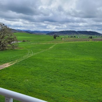 Meadows Estate Vineyard and Winery - Bucolic view from outside deck. - Wineries Near Me - Oakland, Oregon Meadows Estate Vineyard and Winery - Bucolic view from outside deck. - Wineries Near Me - Oakland, Oregon