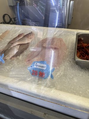 Shrimp City - Seafood & Bait by null