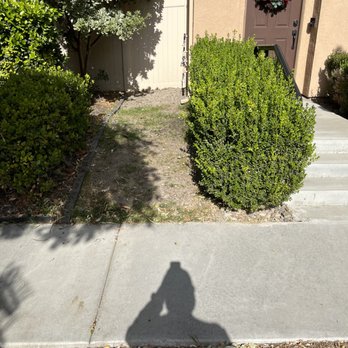 Rocha Landscaping - Before - - Tree Services Near Me - Chino, California Rocha Landscaping - Before - - Tree Services Near Me - Chino, California