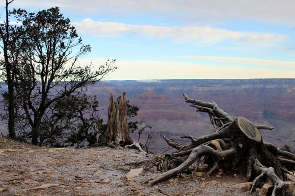 South Rim Trail by null