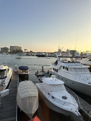 Rusty Pelican by null