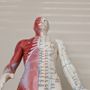 Five Oceans Acupuncture and Herb
