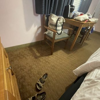 Seabird Lodge - Room and carpet - Hotels Near Me - Fort Bragg, California
