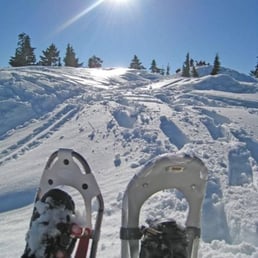 resting up at the top of Hollyburn resting up at the top of Hollyburn