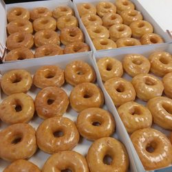 Donut Palace