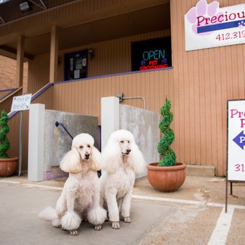 Precious Paws Pet Salon - Aspen and Monte are here to welcome you. - Pet Groomers Near Me - Bridgeville, Pennsylvania Precious Paws Pet Salon - Aspen and Monte are here to welcome you. - Pet Groomers Near Me - Bridgeville, Pennsylvania