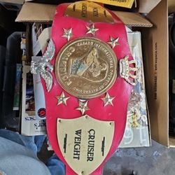 Pond Side Resale - Kickboxing belt