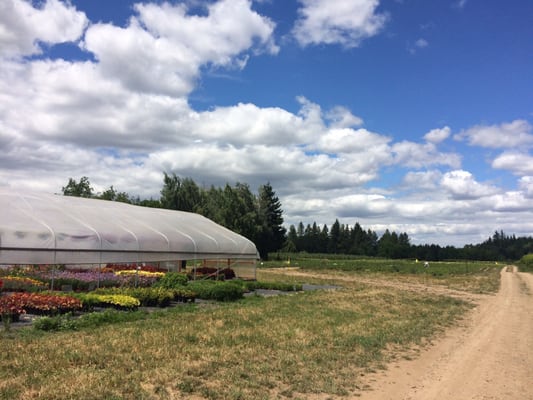 Peoria Road Farm Market by null