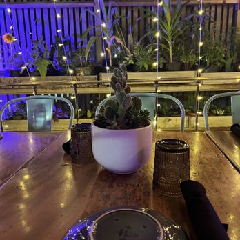 Outpost - plantas y luzes - Mexican Near Me - Cabo San Lucas, BCS Outpost - plantas y luzes - Mexican Near Me - Cabo San Lucas, BCS