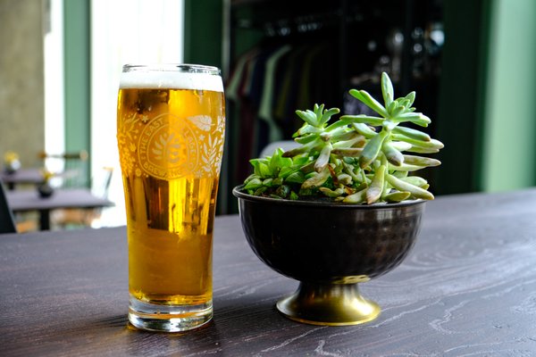 East Village Brewing Company by null