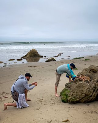 Leo Carrillo State Park by null
