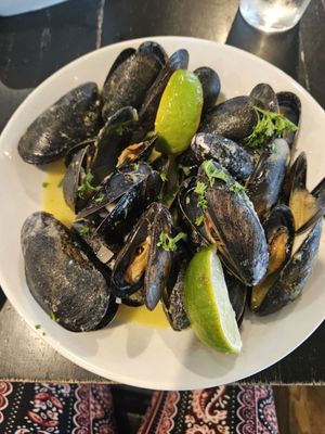 Sea Dog Brewing Co. by null