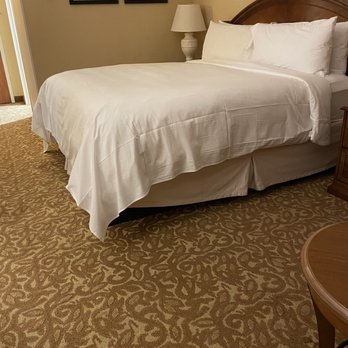 Austin Marriott South - What a sad, small room - Hotels Near Me - Austin, Texas