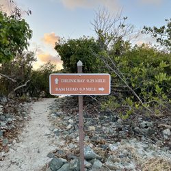 Ram Head Trail
